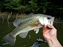 2004-09-26 016.JPG